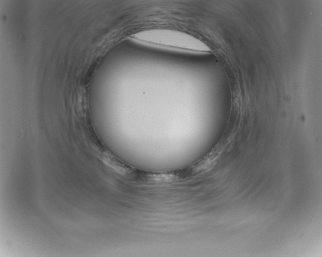 X0000075860233200609151234