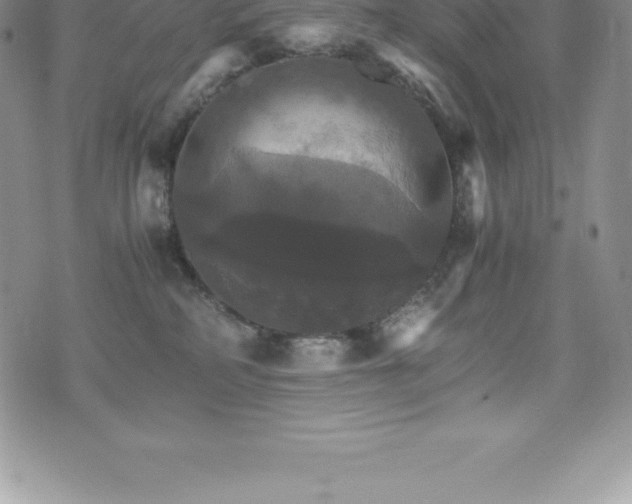 X0000075860234200609151234