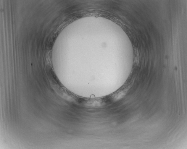 X0000075860236200609151234