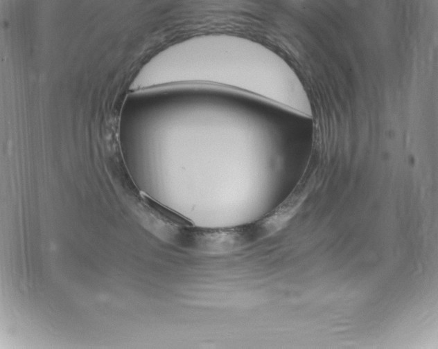 X0000075860237200609151234