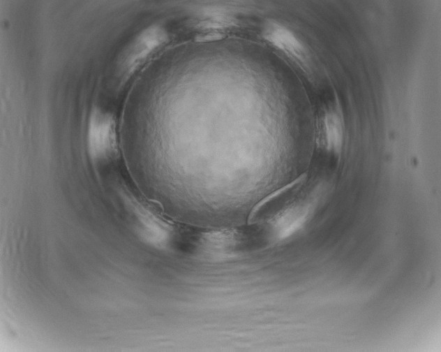 X0000075860238200609151234