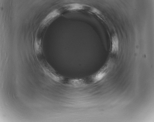 X0000075860239200609151234