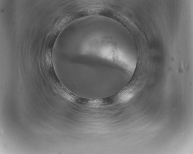 X0000075860240200609151234