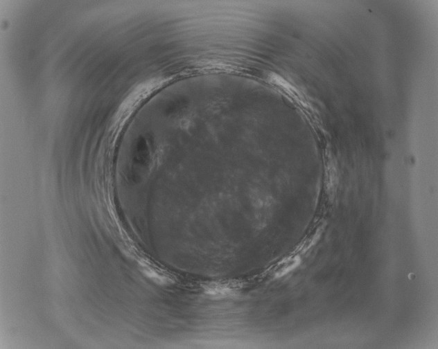 X0000075860241200609151233