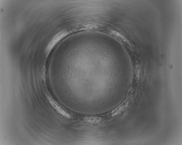 X0000075860242200609151233