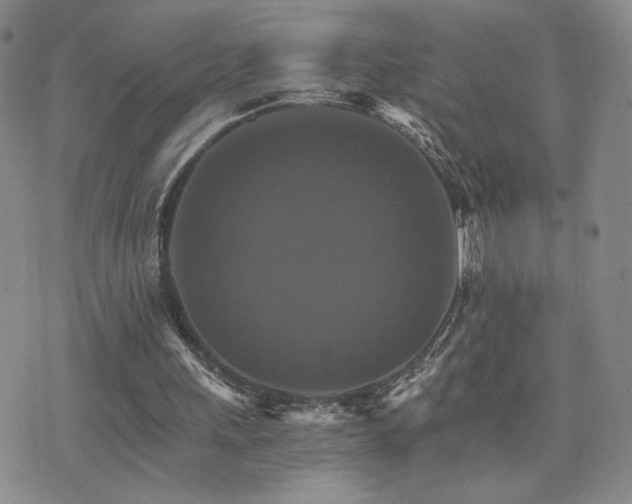 X0000075860243200609151233