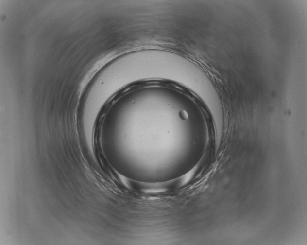 X0000075860244200609151233