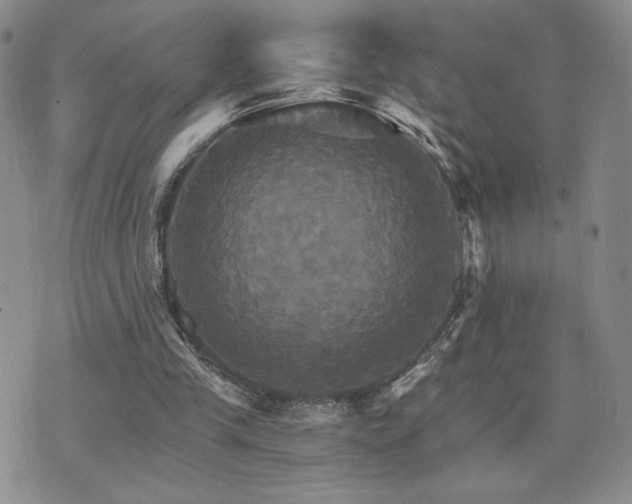 X0000075860245200609151233