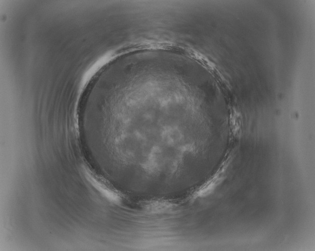 X0000075860246200609151233