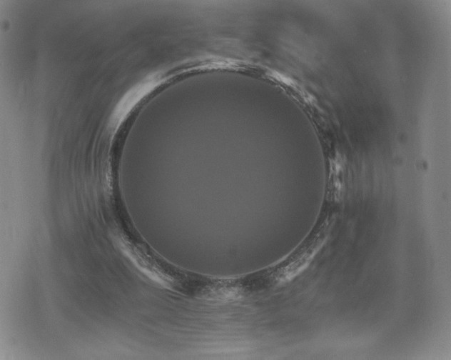 X0000075860247200609151233