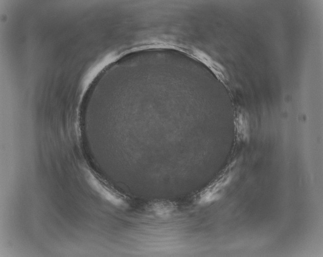 X0000075860248200609151233