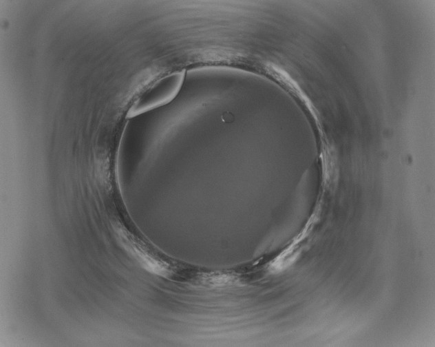 X0000075860249200609151233