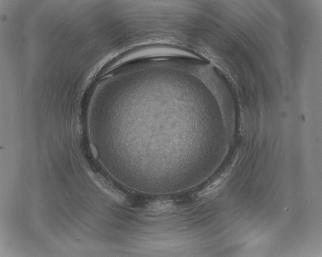 X0000075860252200609151233