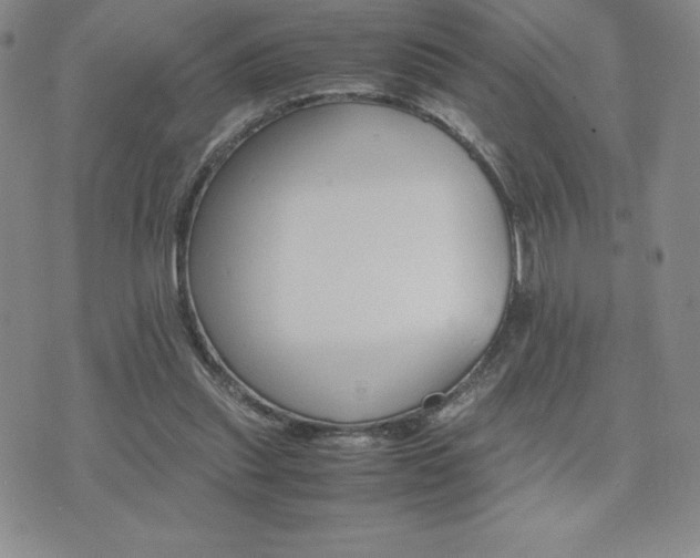 X0000075860253200609151233