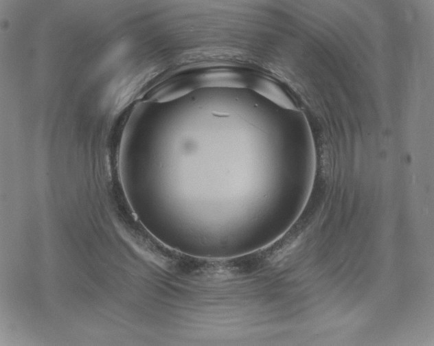 X0000075860254200609151233