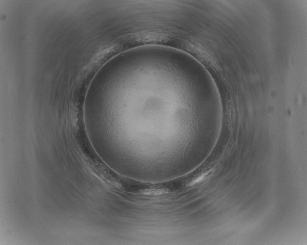 X0000075860255200609151233