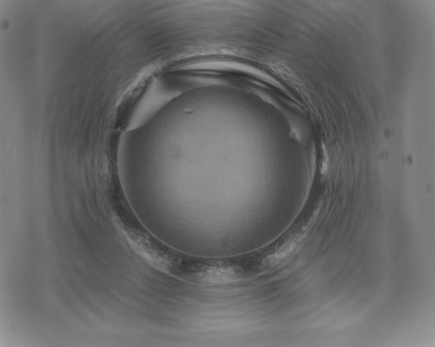 X0000075860256200609151233