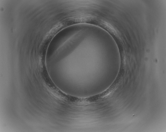 X0000075860258200609151233