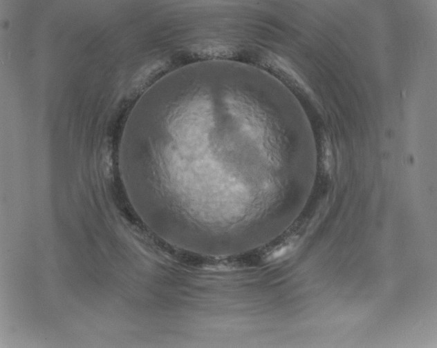 X0000075860259200609151233