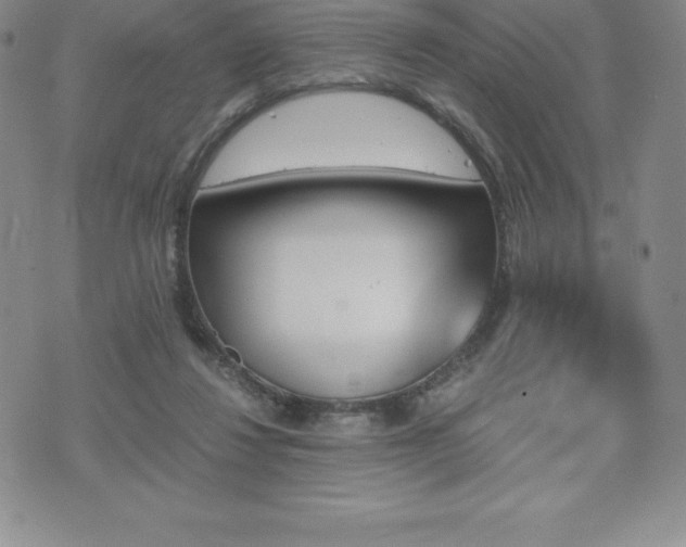 X0000075860260200609151233