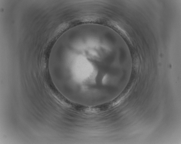 X0000075860261200609151233