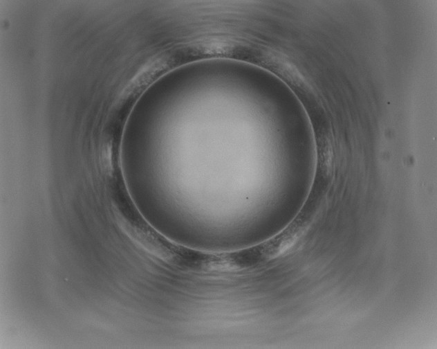 X0000075860262200609151233