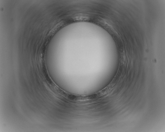 X0000075860263200609151233