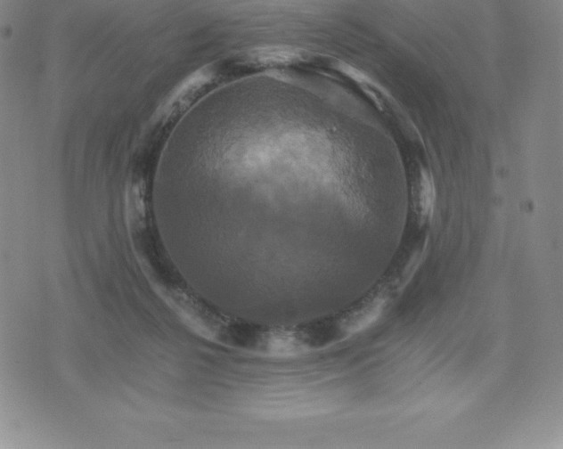 X0000075860264200609151233