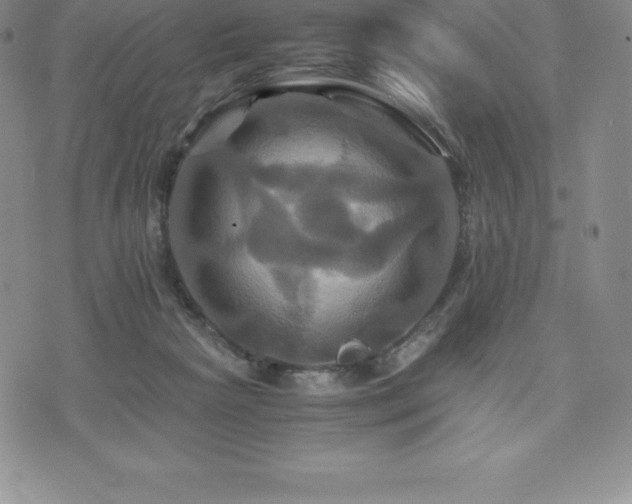 X0000075860265200609151233