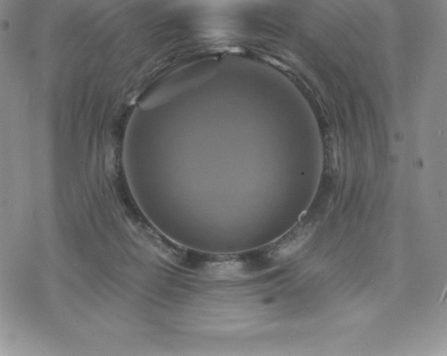 X0000075860266200609151233