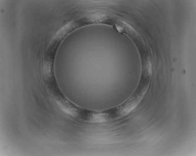 X0000075860268200609151233