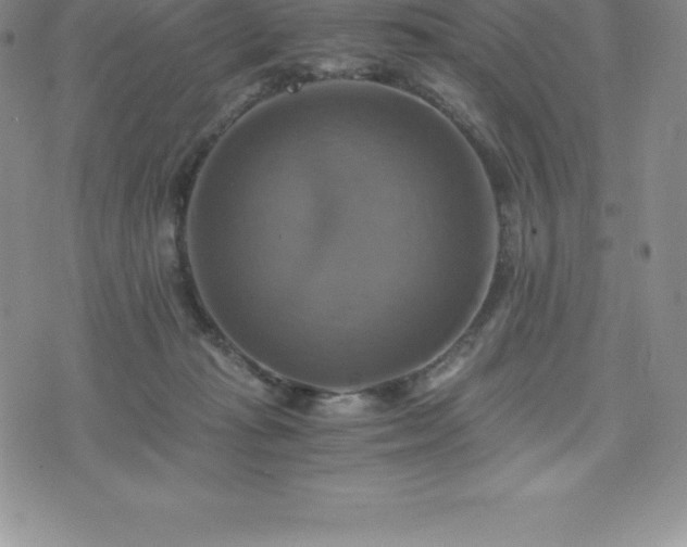 X0000075860269200609151233