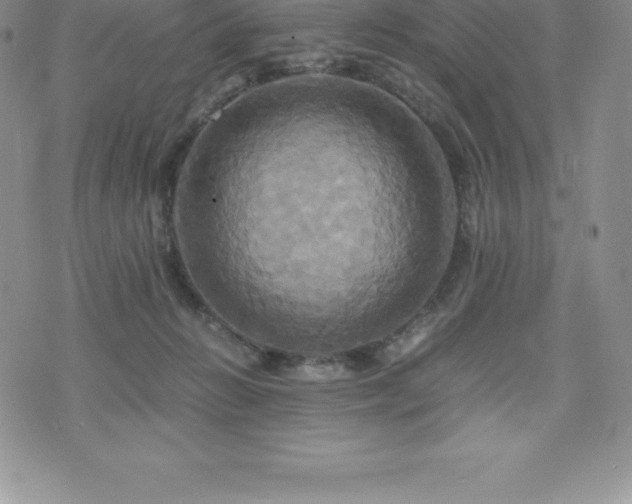 X0000075860270200609151233