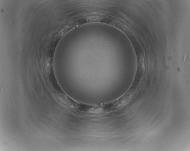 X0000075860271200609151233