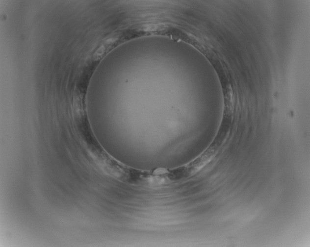 X0000075860272200609151233