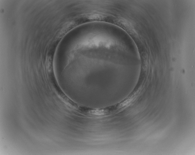 X0000075860273200609151233