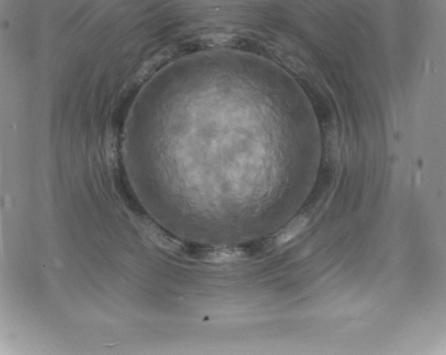 X0000075860274200609151233