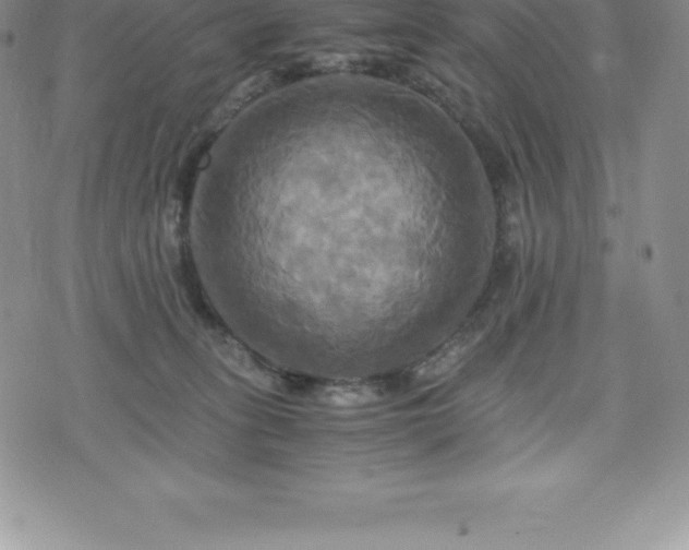 X0000075860275200609151233