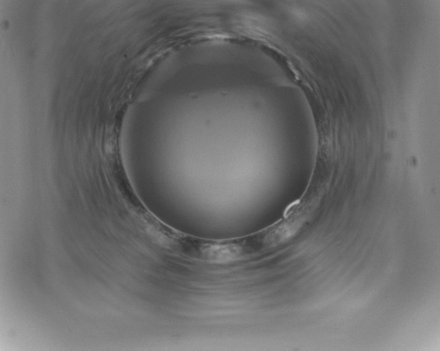 X0000075860277200609151233