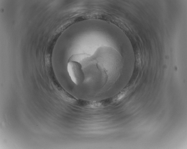 X0000075860278200609151234