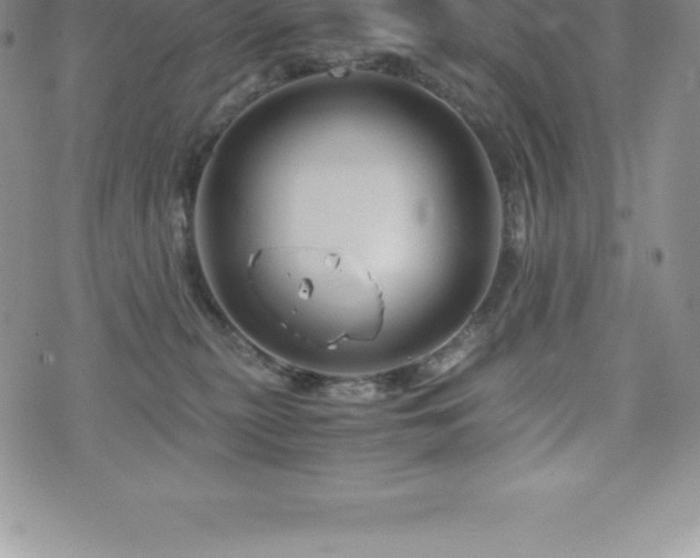 X0000075860279200609151234