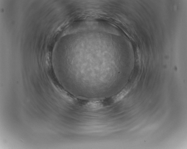 X0000075860280200609151234