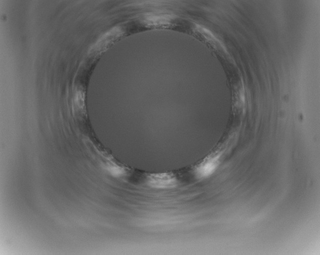 X0000075860281200609151234