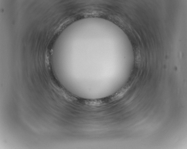 X0000075860282200609151234