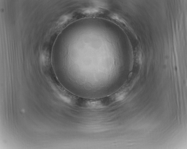 X0000075860283200609151234