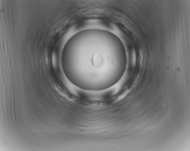 X0000075860284200609151234