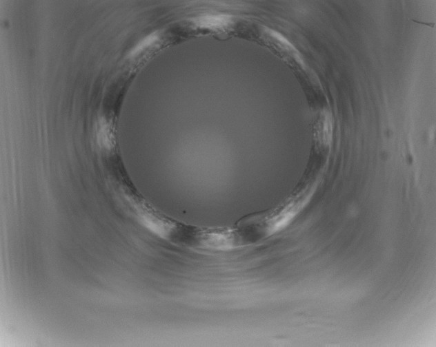 X0000075860285200609151234