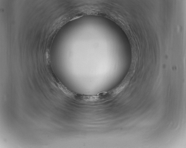 X0000075860288200609151234