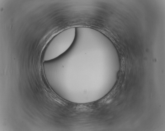 X0000075860290200609151233