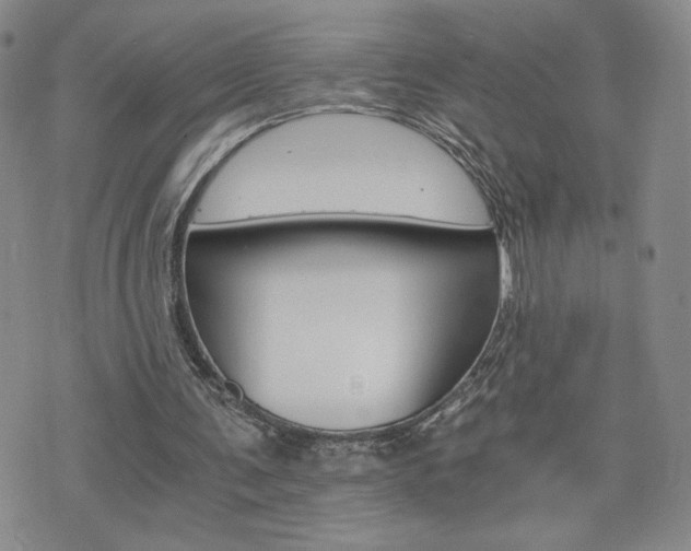 X0000075860291200609151233